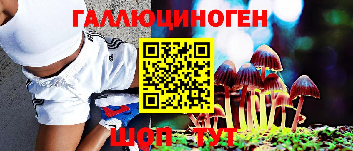Псилоцибиновые грибы Psilocybine cubensis Сибай